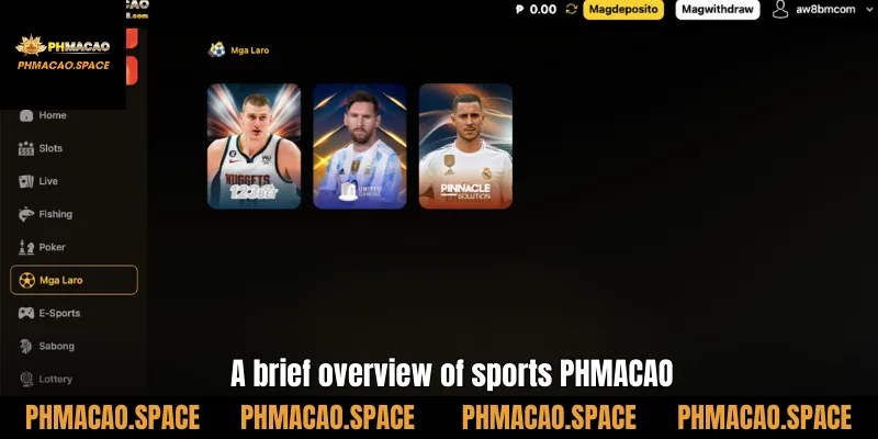 A brief overview of sports PHMACAO