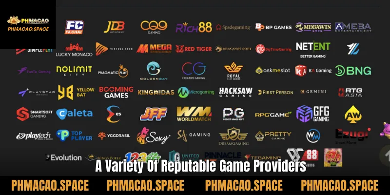A Variety Of Reputable Game Providers