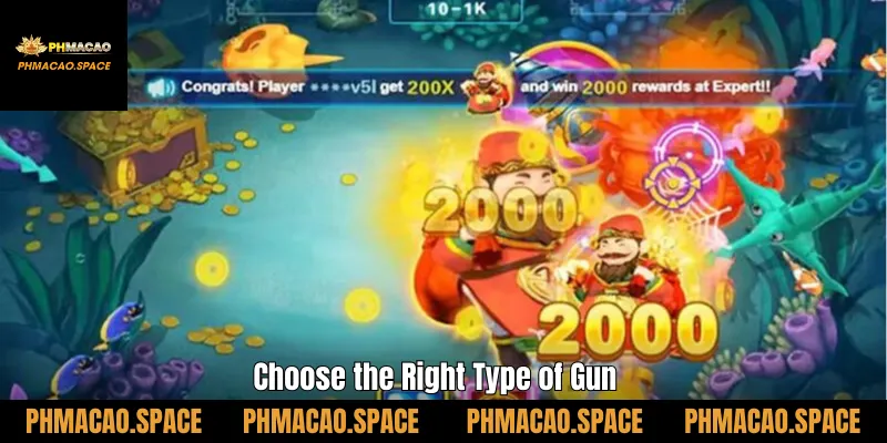 Choose the Right Type of Gun