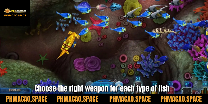 Choose the right weapon for each type of fish