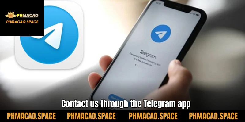 Contact us through the Telegram app