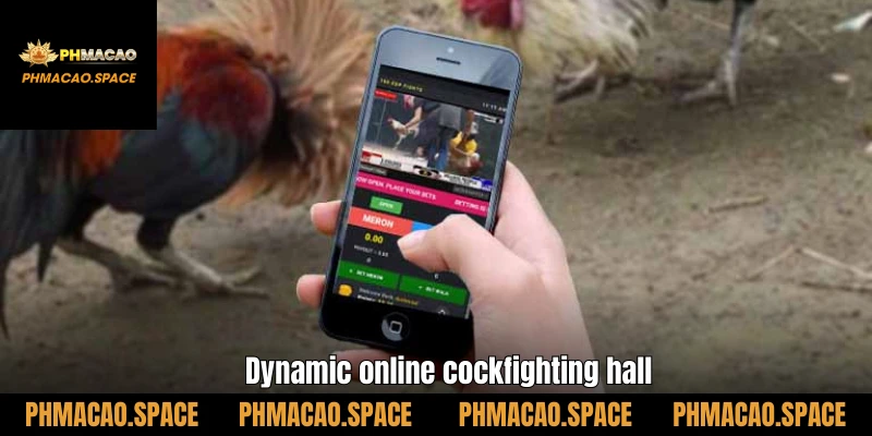 Dynamic online cockfighting hall