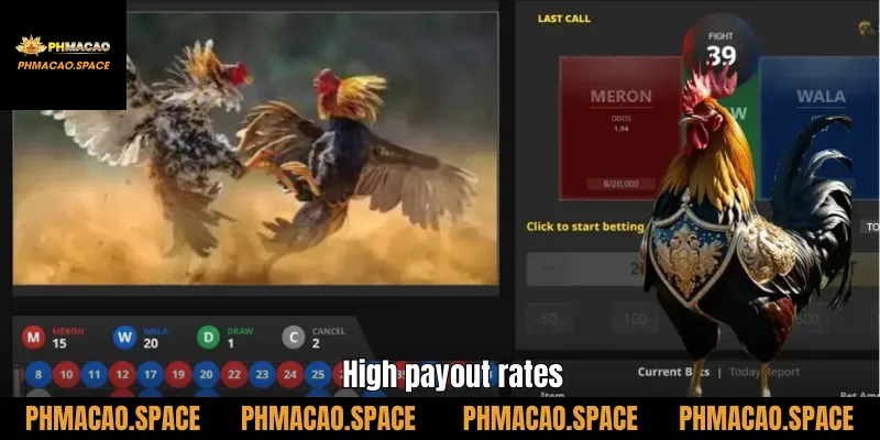High payout rates