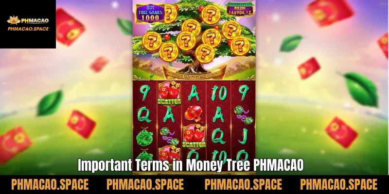 Important Terms in Money Tree PHMACAO