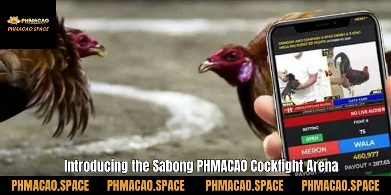 Introducing the Sabong PHMACAO Cockfight Arena
