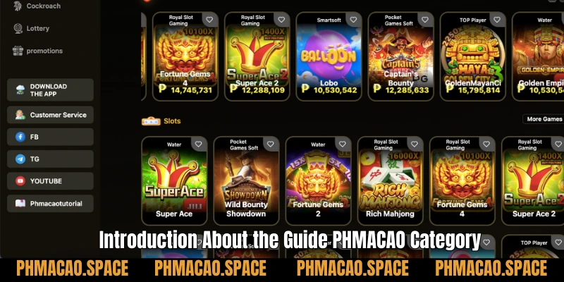 Introduction About the Guide PHMACAO