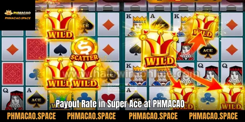 pay out rate in super ace at phmacao