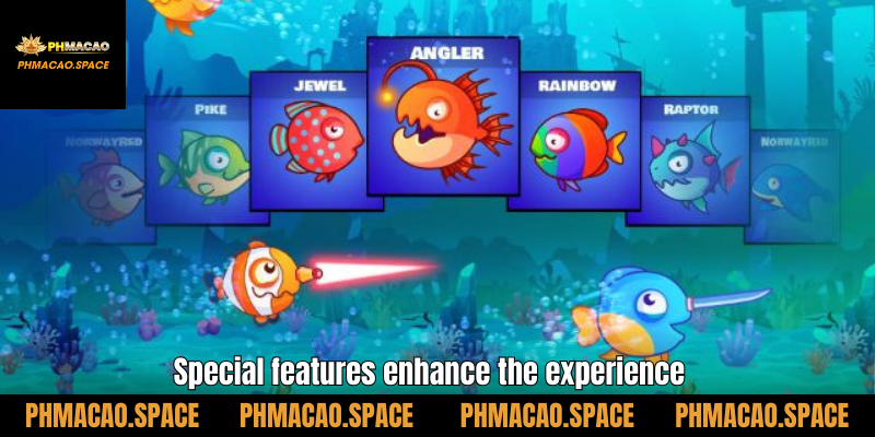 Special features enhance the experience