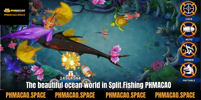 The beautiful ocean world in Split Fishing PHMACAO