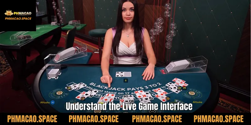 Understand the Live Game Interface