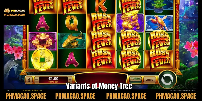 Variants of Money Tree