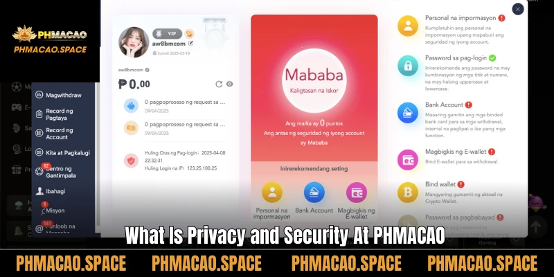 What Is Privacy and Security At PHMACAO