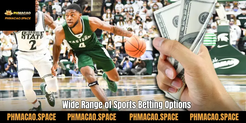 Wide Range of Sports Betting Options
