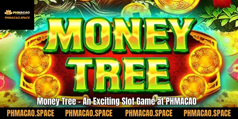 Money Tree – An Exciting Slot Game at PHMACAO