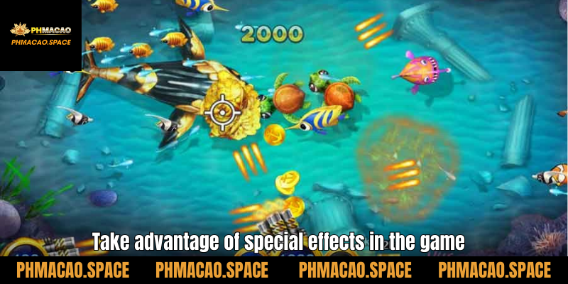 Take advantage of special effects in the game